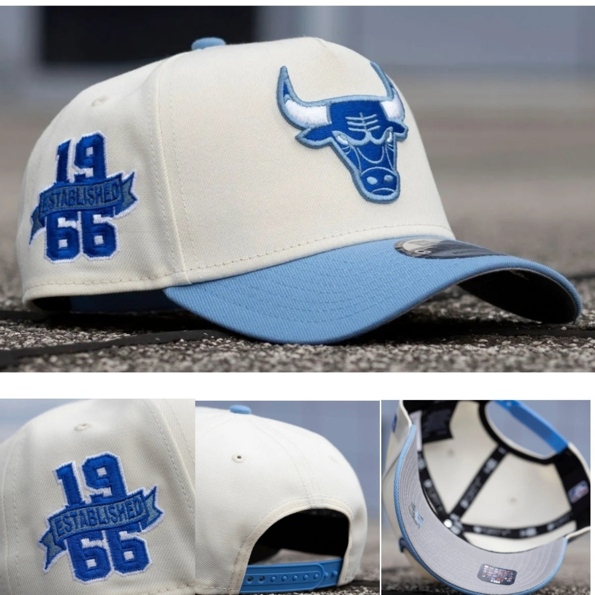 1966 Bulls